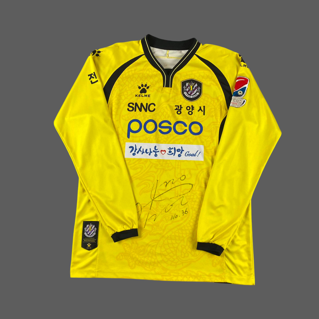 Chunnam Dragons 2013 South Korea Signed Soccer Jersey Shirt 110 (3XL)